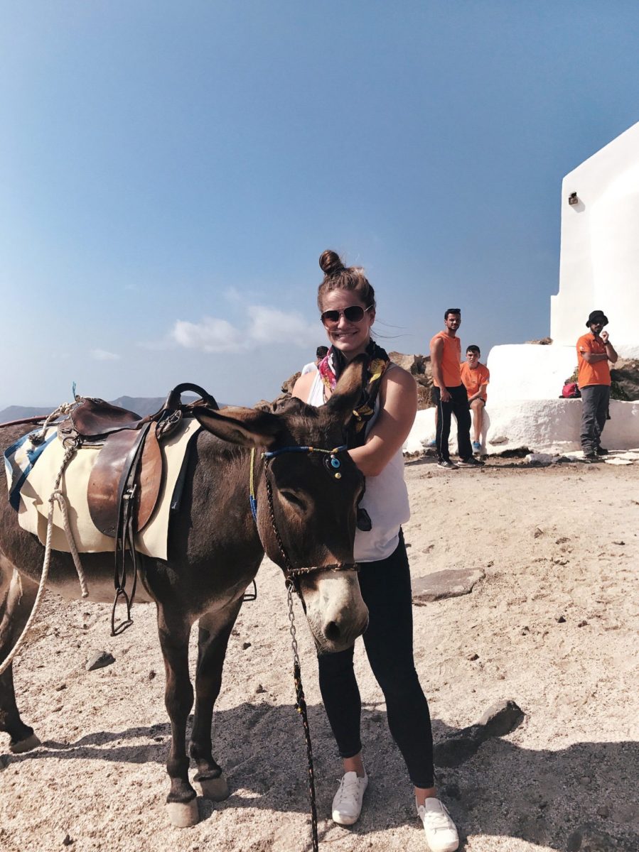 Santorini Donkey