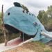 blue whale of catoosa