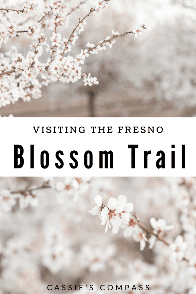 Pinterest image of the fresno blossom trail