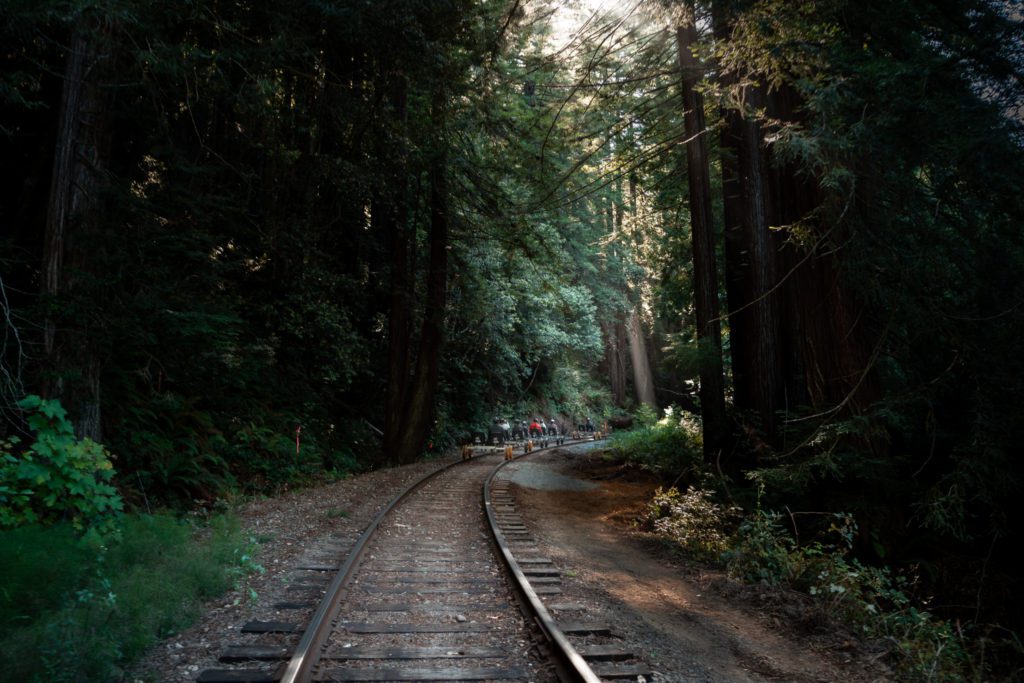 skunk train railbike fort bragg