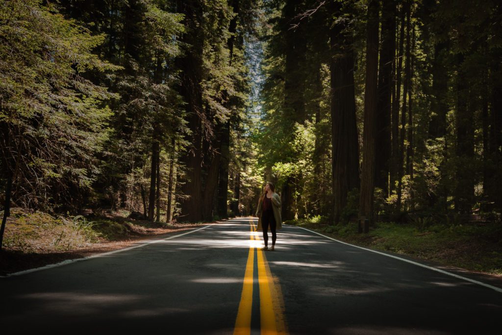 girl standing in the road in the avenue of the giants in redwood national park