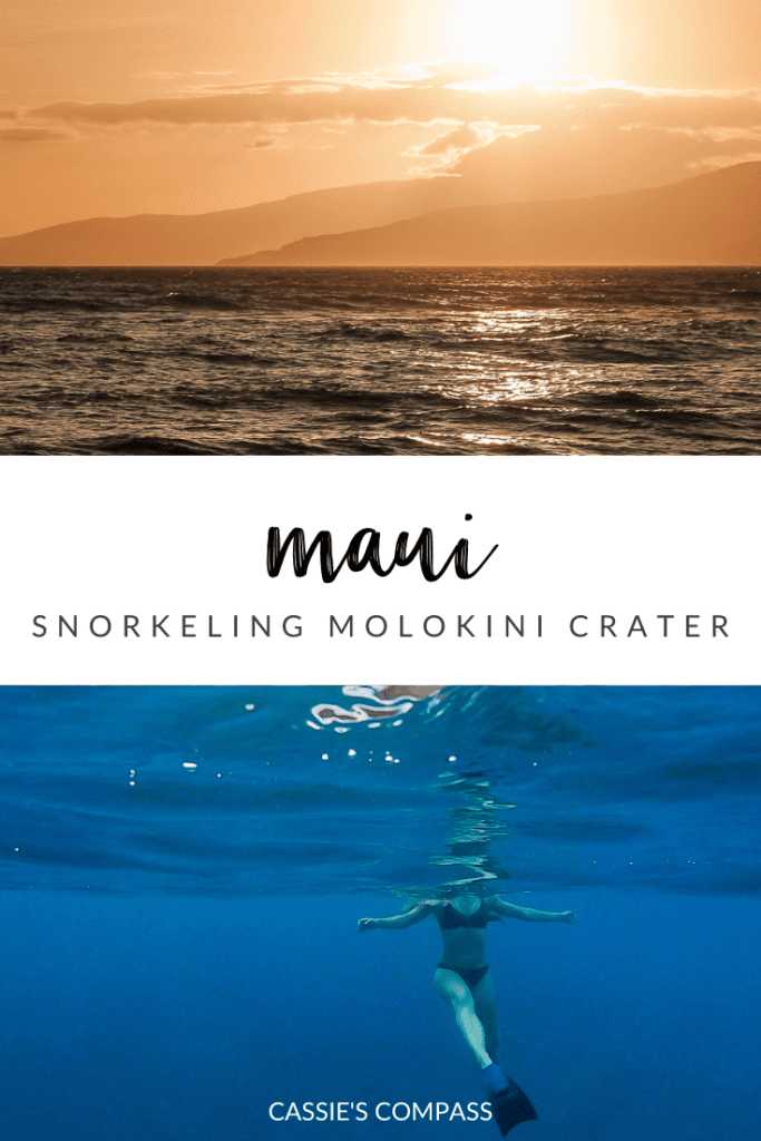 snorkeling molokini crater pin