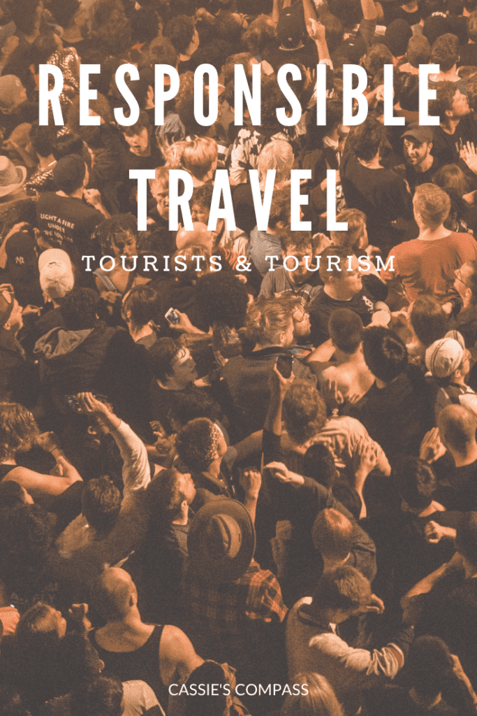 responsible travel pin