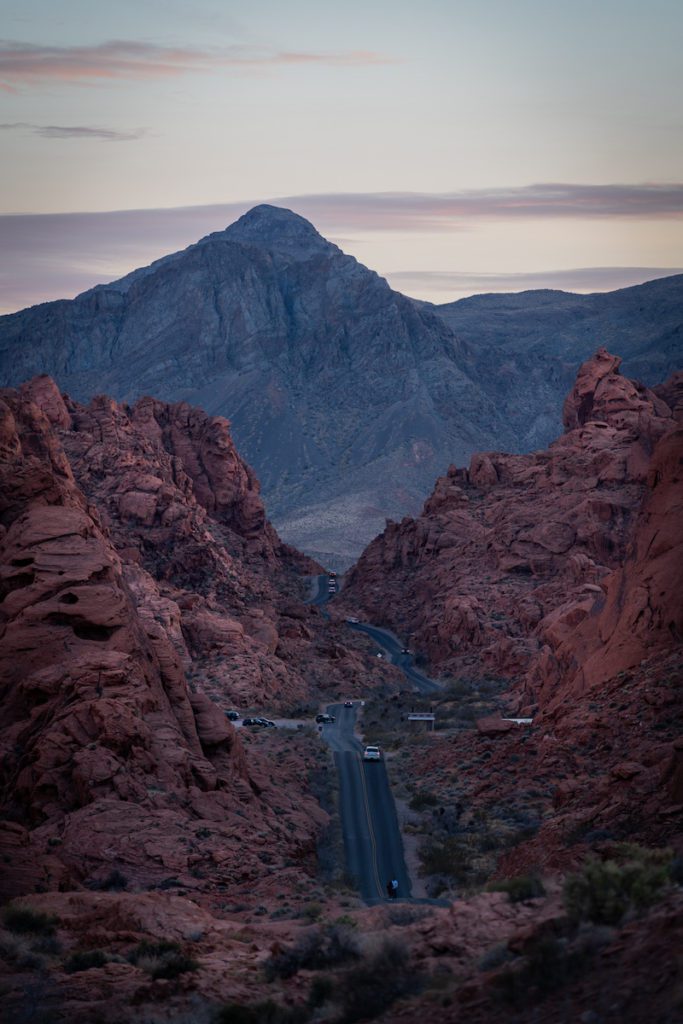 mouse tank road view