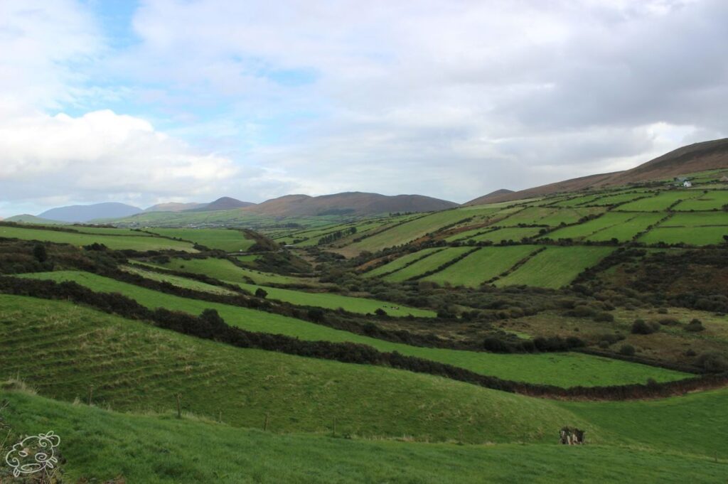green rolling pastures in ireland on a sunny day